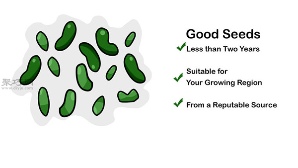 让种子发芽图片教程 怎么样让种子发芽
