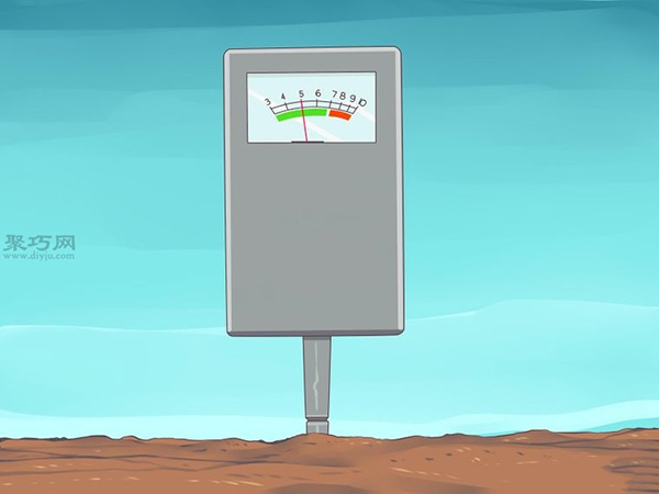 栽种鳄梨步骤 4