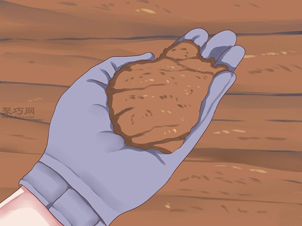 栽种鳄梨步骤 3