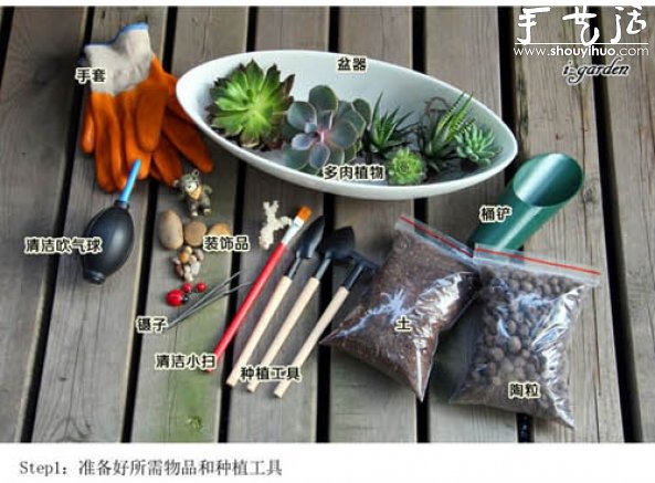 多肉植物手工盆栽DIY 多肉植物手工盆栽DIY