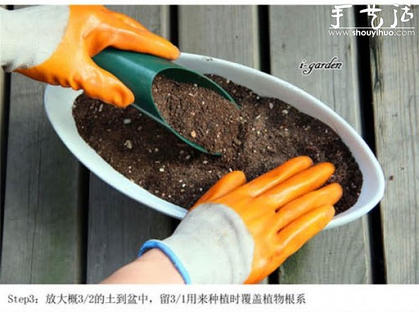 多肉植物手工盆栽DIY 多肉植物手工盆栽DIY