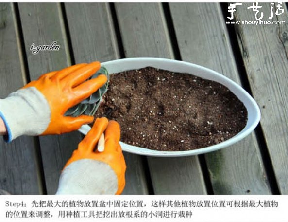 多肉植物手工盆栽DIY 多肉植物手工盆栽DIY