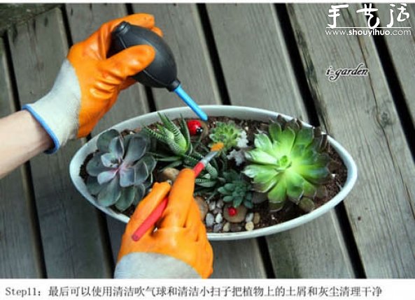 多肉植物手工盆栽DIY 多肉植物手工盆栽DIY