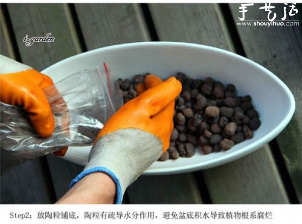 多肉植物手工盆栽DIY 多肉植物手工盆栽DIY