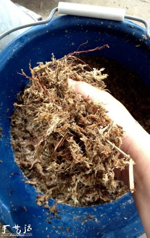 DIY多种多肉植物混搭的盆栽 DIY多种多肉植物混搭的盆栽