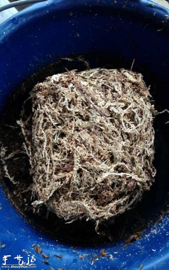 DIY多种多肉植物混搭的盆栽 DIY多种多肉植物混搭的盆栽