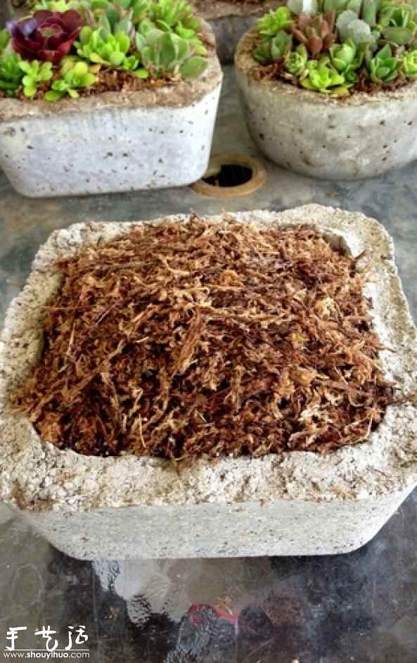 DIY多种多肉植物混搭的盆栽 DIY多种多肉植物混搭的盆栽