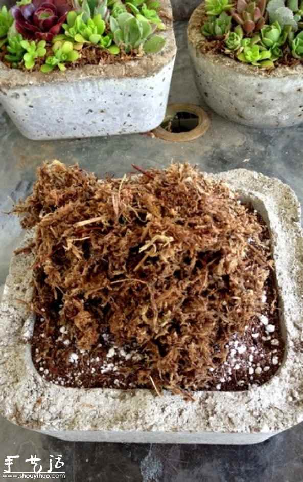 DIY多种多肉植物混搭的盆栽 DIY多种多肉植物混搭的盆栽