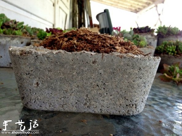 DIY多种多肉植物混搭的盆栽 DIY多种多肉植物混搭的盆栽