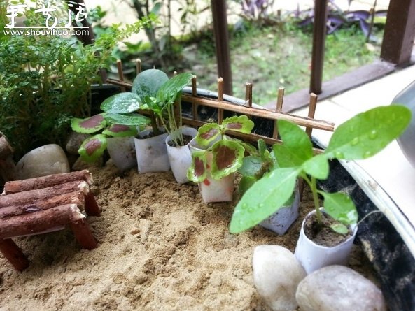 迷你微型花园制作教程 迷你微型花园制作教程