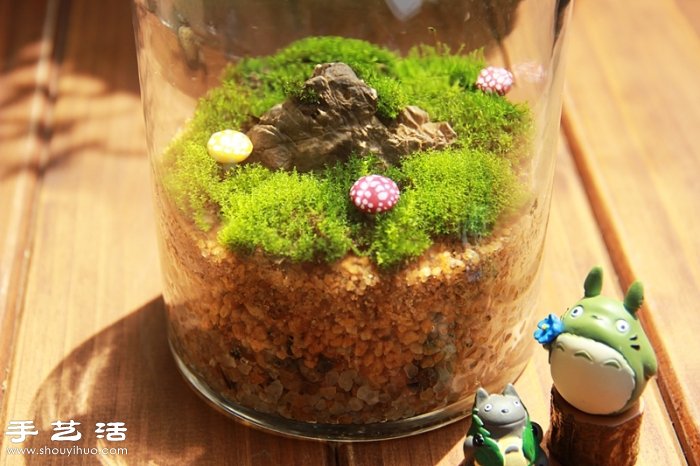 DIY可爱的苔藓造景 自制漂亮苔藓微景观 DIY可爱的苔藓造景 自制漂亮苔藓微景观