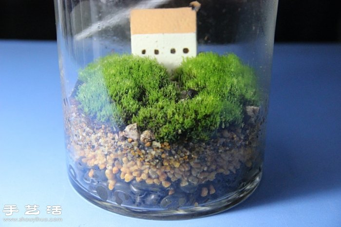 DIY可爱的苔藓造景 自制漂亮苔藓微景观 DIY可爱的苔藓造景 自制漂亮苔藓微景观