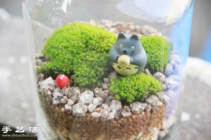 DIY可爱的苔藓造景 自制漂亮苔藓微景观 DIY可爱的苔藓造景 自制漂亮苔藓微景观