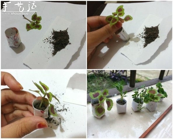 迷你微型花园制作教程 迷你微型花园制作教程