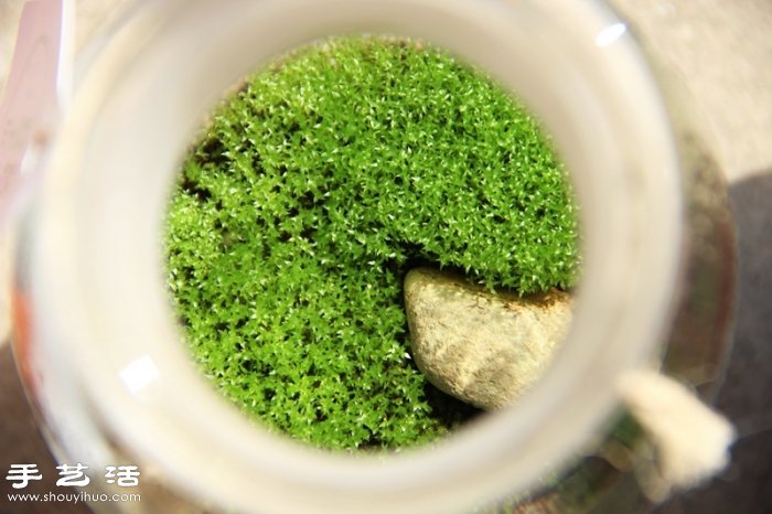 DIY可爱的苔藓造景 自制漂亮苔藓微景观 DIY可爱的苔藓造景 自制漂亮苔藓微景观