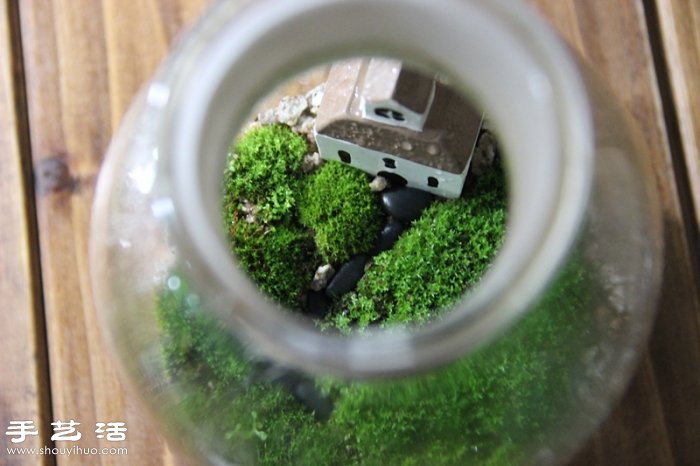 DIY可爱的苔藓造景 自制漂亮苔藓微景观 DIY可爱的苔藓造景 自制漂亮苔藓微景观