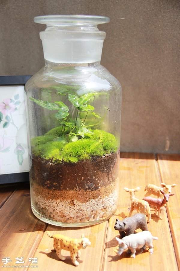 DIY可爱的苔藓造景 自制漂亮苔藓微景观 DIY可爱的苔藓造景 自制漂亮苔藓微景观
