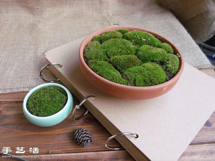DIY可爱的苔藓造景 自制漂亮苔藓微景观 DIY可爱的苔藓造景 自制漂亮苔藓微景观