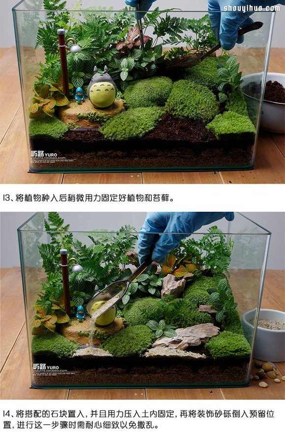 苔藓微景观制作材料及方法详细图解教程