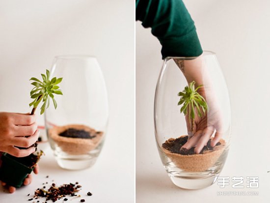 手工制作迷你植物盆景 创造自己的小小王国 手工制作迷你植物盆景 创造自己的小小王国
