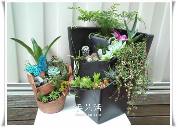 破花盆变盆景的方法 DIY破花盆盆景小制作 破花盆变盆景的方法 DIY破花盆盆景小制作