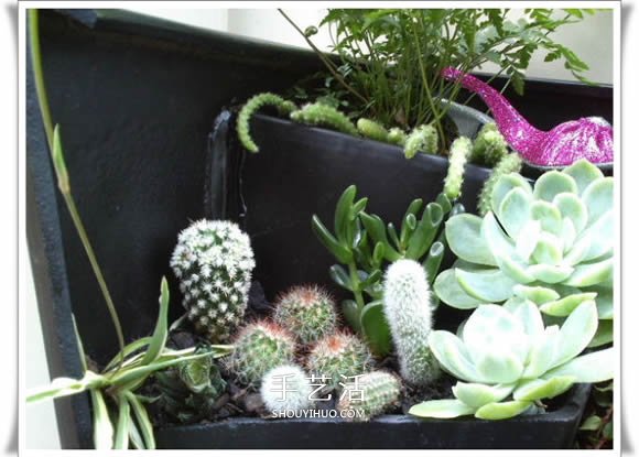 破花盆变盆景的方法 DIY破花盆盆景小制作 破花盆变盆景的方法 DIY破花盆盆景小制作