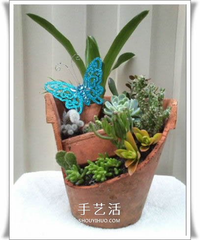 破花盆变盆景的方法 DIY破花盆盆景小制作 破花盆变盆景的方法 DIY破花盆盆景小制作