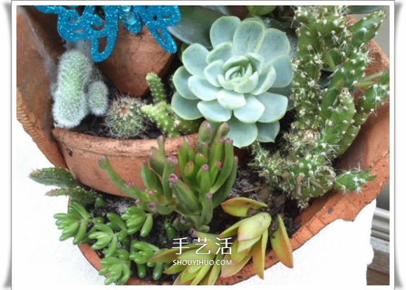 破花盆变盆景的方法 DIY破花盆盆景小制作 破花盆变盆景的方法 DIY破花盆盆景小制作