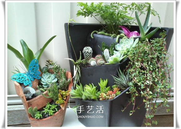 破花盆变盆景的方法 DIY破花盆盆景小制作 破花盆变盆景的方法 DIY破花盆盆景小制作