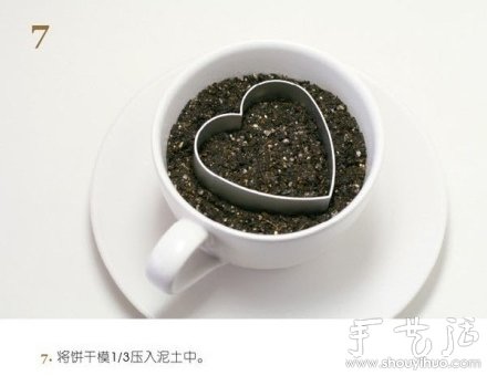 火龙果DIY心形盆栽 火龙果DIY心形盆栽