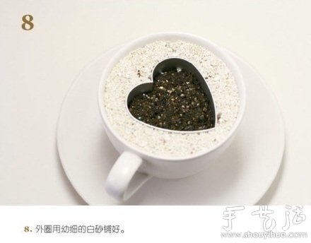 火龙果DIY心形盆栽 火龙果DIY心形盆栽