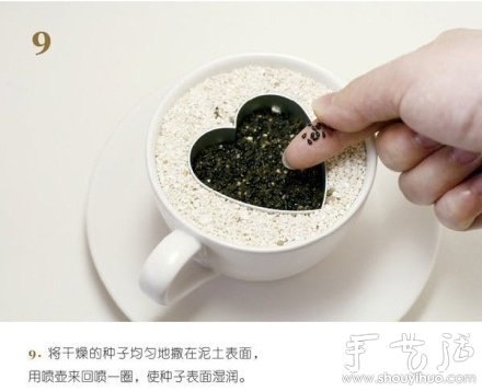 火龙果DIY心形盆栽 火龙果DIY心形盆栽