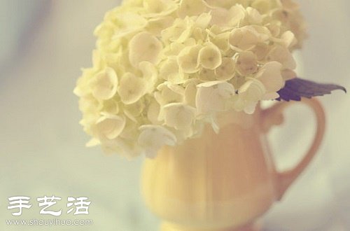 让鲜花绽放久一点的5个小窍门 让鲜花绽放久一点的5个小窍门