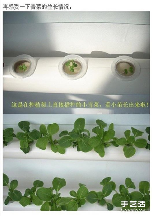 PVC管种菜设计图,利用PVC管阳台种菜的方法 PVC管种菜设计图 利用PVC管阳台种菜的方法