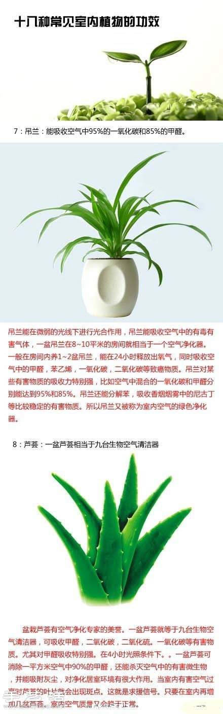 家里种什么植物好 常见室内植物的功效 家里种什么植物好 常见室内植物的功效