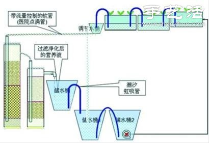 超详细水培种菜教程 家里也可以方便种菜啦! 超详细水培种菜教程 家里也可以方便种菜啦!