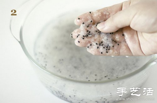 火龙果的籽DIY可爱观赏盆栽 火龙果的籽DIY可爱观赏盆栽