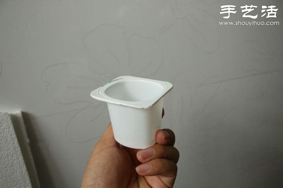超详细水培种菜教程 家里也可以方便种菜啦! 超详细水培种菜教程 家里也可以方便种菜啦!