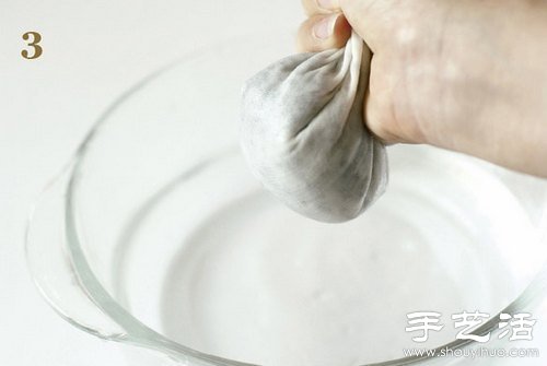 火龙果的籽DIY可爱观赏盆栽 火龙果的籽DIY可爱观赏盆栽