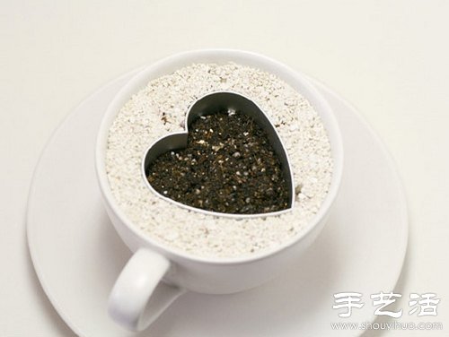火龙果的籽DIY可爱观赏盆栽 火龙果的籽DIY可爱观赏盆栽