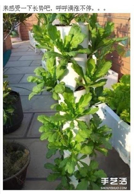 PVC管种菜设计图,利用PVC管阳台种菜的方法 PVC管种菜设计图 利用PVC管阳台种菜的方法