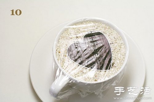 火龙果的籽DIY可爱观赏盆栽 火龙果的籽DIY可爱观赏盆栽