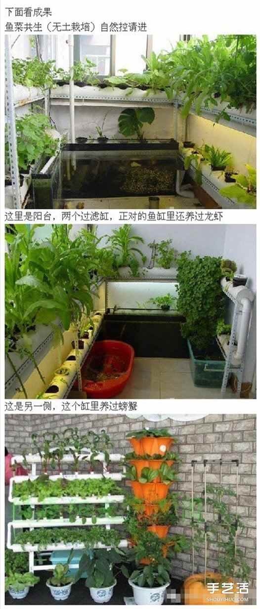 PVC管种菜设计图,利用PVC管阳台种菜的方法 PVC管种菜设计图 利用PVC管阳台种菜的方法