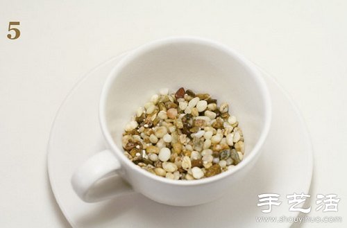 火龙果的籽DIY可爱观赏盆栽 火龙果的籽DIY可爱观赏盆栽