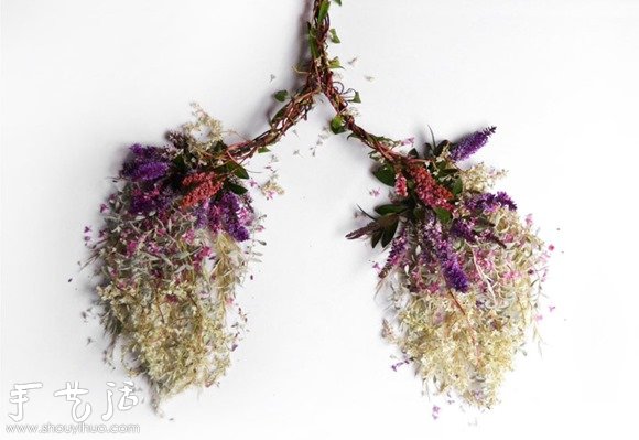 花草DIY的各种人体器官 花草DIY的各种人体器官