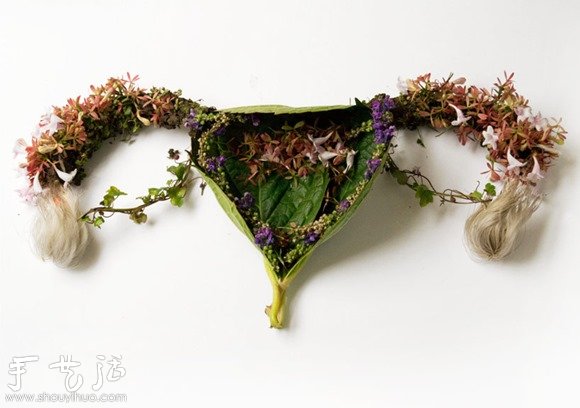 花草DIY的各种人体器官 花草DIY的各种人体器官