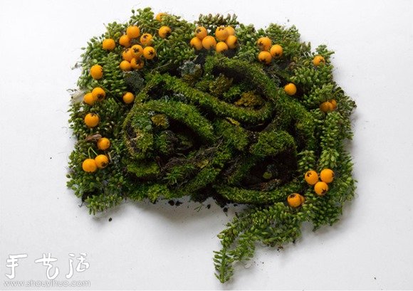 花草DIY的各种人体器官 花草DIY的各种人体器官