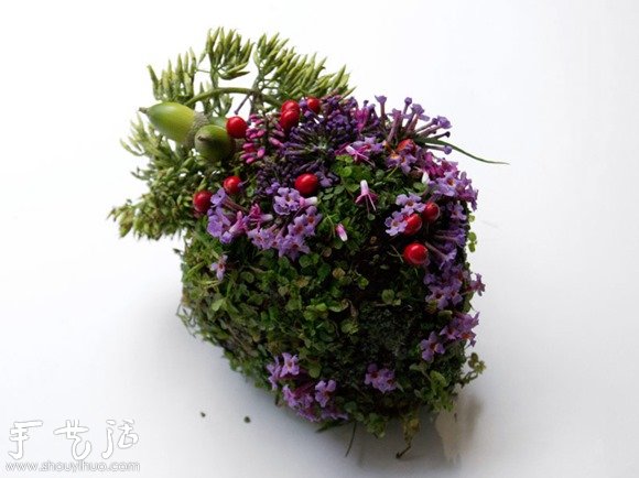花草DIY的各种人体器官 花草DIY的各种人体器官