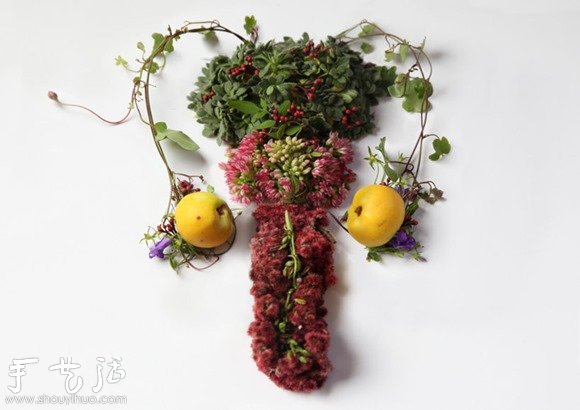 花草DIY的各种人体器官 花草DIY的各种人体器官