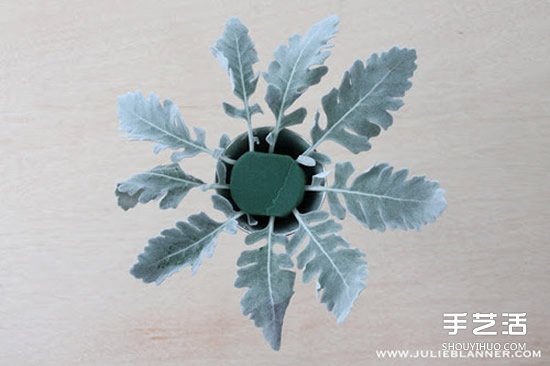 简易插花入门教程图解 所用花器是废旧圣杯~ 简易插花入门教程图解 所用花器是废旧圣杯~